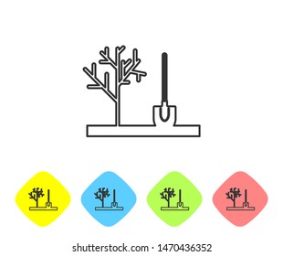 Grey line Planting a tree in the ground icon isolated on white background. Gardening, agriculture, caring for environment. Set icon in color rhombus buttons. Vector Illustration