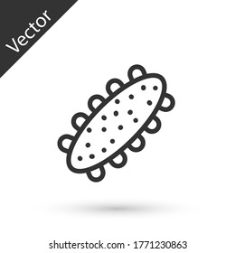 Grey Line Sea Cucumber Icon Isolated On White Background. Marine Food. Vector.