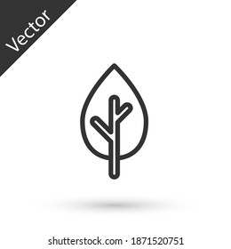 Grey line Tree icon isolated on white background. Forest symbol. Vector.
