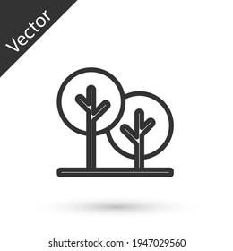 Grey line Tree icon isolated on white background. Forest symbol. Vector