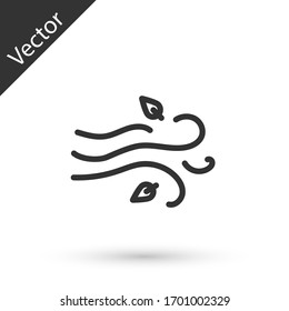 Grey line Wind icon isolated on white background. Windy weather. Vector Illustration