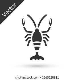 Grey Lobster icon isolated on white background.  Vector