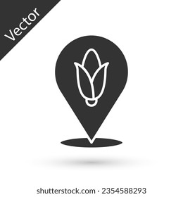 Icono de maíz de posición gris aislado en fondo blanco.  Vector