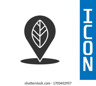 Pin de posición gris con icono de hoja interior aislado en fondo blanco. Ilustración vectorial