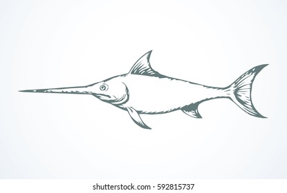 Grey long predatory Xiphias broadbills tuna float on light backdrop. Freehand linear black ink hand drawn picture sketchy in art retro scribble style pen on paper. Closeup side view and space for text