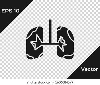 Grey Lungs icon isolated on transparent background.  Vector Illustration
