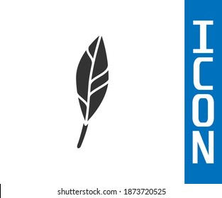 Grey Magic feather icon isolated on white background.  Vector