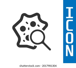 Grey Microorganisms under magnifier icon isolated on white background. Bacteria and germs, cell cancer, microbe, virus, fungi.  Vector