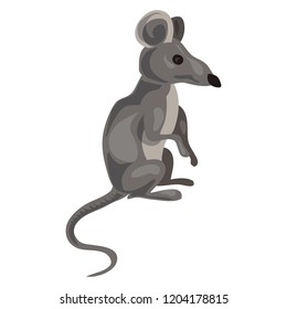 Grey mouse icon. Cartoon of grey mouse vector icon for web design isolated on white background