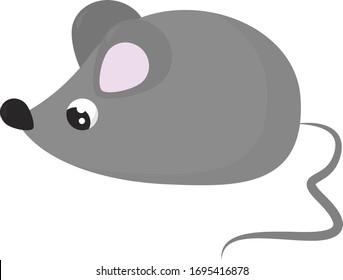 Grey mouse, illustration, vector on white background