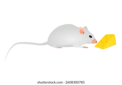 Grey mouse isolated. vector illustration