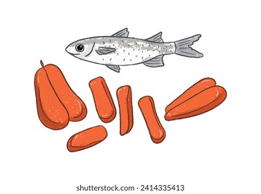 Grey mullet fish and dried mullet fish eggs