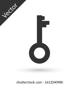 Grey Old key icon isolated on white background.  Vector Illustration