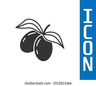Grey Olives branch icon isolated on white background.  Vector