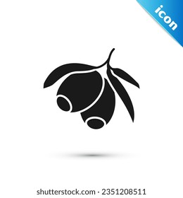 Grey Olives branch icon isolated on white background.  Vector