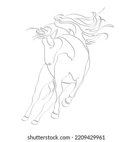 Grey outline running horse on white background. Graphic drawing. Vector illustration.