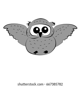 Grey owl flying on the white background. Vector illustration