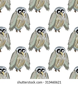 Grey owl on a white background.