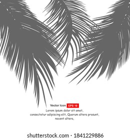 Hoja gris de palma sobre fondo blanco. Ilustración vectorial. 