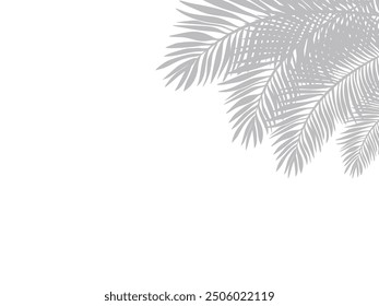 grey palm leaves background design summer concept top right