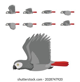 Grey Parrot Flying Animation Sequence Cartoon Vector