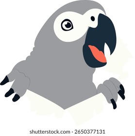 Grey Parrot Peeking Through hand drawn