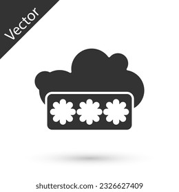 Grey Password protection and safety access icon isolated on white background. Security, safety, protection, privacy concept.  Vector Illustration