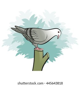 grey pigeon bird on tree stump-vector drawing