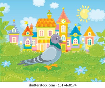 Grey pigeon walking on green grass of a summer town park on a sunny warm day, vector illustration in a cartoon style