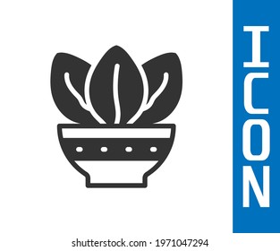 Grey Plant in pot icon isolated on white background. Plant growing in a pot. Potted plant sign.  Vector