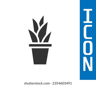 Grey Plant in pot icon isolated on white background. Plant growing in a pot. Potted plant sign.  Vector Illustration