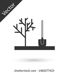 Grey Planting a tree in the ground icon isolated on white background. Gardening, agriculture, caring for environment.  Vector Illustration
