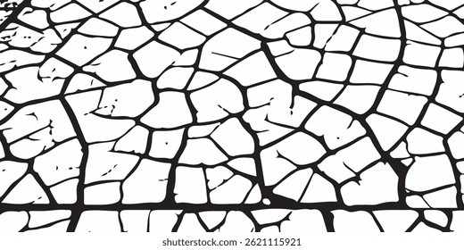Pared gris de la casa de la fachada del yeso con grietas oscuras. Pared gris negra blanca, piso con grietas, fondo de la textura. Tierra de la grieta para el fondo abstracto en el fondo blanco. Grietas del Vector, roturas en tierra 
