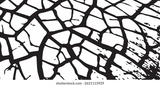 Grey plaster facade house wall with dark cracks.White black grey wall, floor with cracks, texture background.crack ground for abstract background on white background.Vector cracks, breaks on land 
