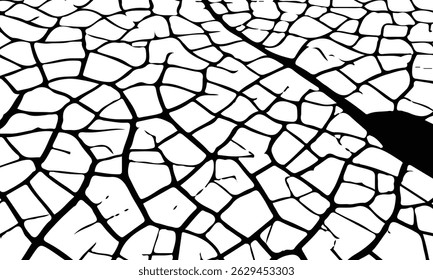 Grey plaster facade house wall with dark cracks.White black grey concrete wall, floor with cracks, texture background, cracked paint