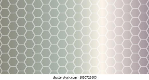 Grey polygonal illustration vector background. Geometric background in Origami style with gradient. Triangular design for your business card, banner, wallpaper. Creative Design Templates.