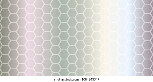Grey polygonal illustration vector background. Geometric background in Origami style with gradient. Triangular design for your business card, banner, wallpaper. Creative Design Templates.
