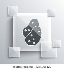 Grey Potato icon isolated on grey background. Square glass panels. Vector