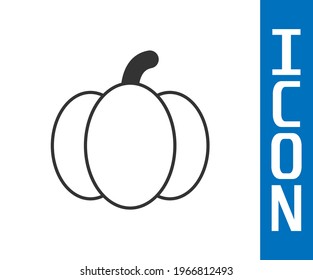 Grey Pumpkin icon isolated Grey background. Happy Halloween party.  Vector