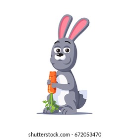 Grey rabbit with big ears holding in paws and eating carrot. Cartoon bunny animal chewing fresh vegetable food. Hare looking at viewer. Flat style vector illustration isolated on white background.