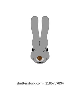 grey rabbit head