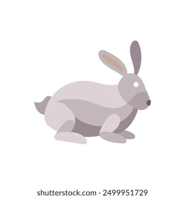 A grey rabbit sitting on the ground.