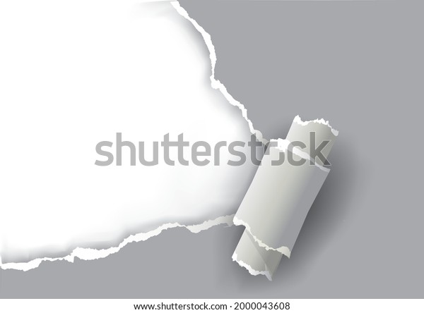 Grey\
ripped paper, banner template.\
Illustration of torn paper with\
place for your image or text. Vector\
available.\
