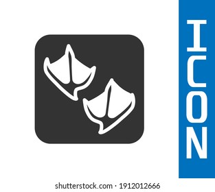 Grey Seagull paw footprint icon isolated on white background.  Vector