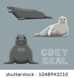 Grey Seal Cartoon Vector Illustration