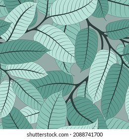 ANTECEDENTES GRIS SIN SEAMILIAS CON RAMAS DE NUMEG MINT