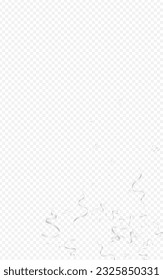 Fondo Transparente Del Vector Swirl Serpentine Gris. Diseño Estrella de fiesta. Plantilla De Decoración Más Optimizada. Planta Abstracta Chic.