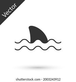 Grey Shark fin in ocean wave icon isolated on white background.  Vector