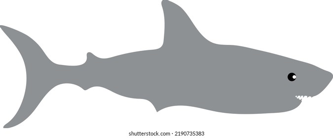 grey shark flat illustration design 