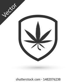 Grey Shield and marijuana or cannabis leaf icon isolated on white background. Marijuana legalization. Hemp symbol.  Vector Illustration